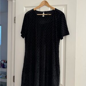 Ann Taylor Black Textured Dress ( Velvet)